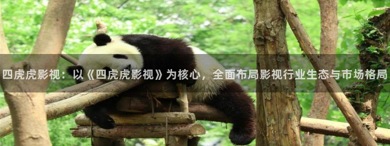 宁波南瓜：四虎虎影视：以《四虎虎影视》为核心，全面布局影视行业生态与市场格局