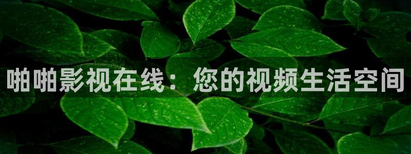 南瓜电影上有哪些好看的电影：啪啪影视在线：您的视频生活空间