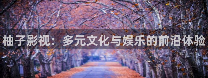 南瓜影院在线观看全职高手：柚子影视：多元文化与娱乐的前沿体验