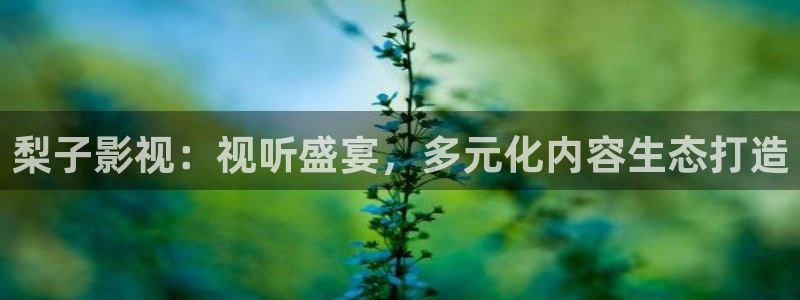 南瓜影院免费下载：梨子影视：视听盛宴，多元化内容生态打造