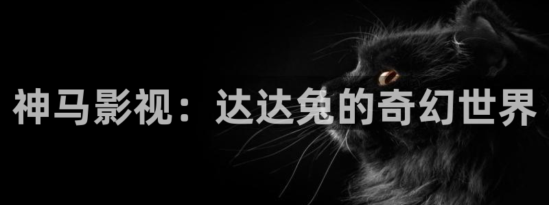 南瓜影院下载：神马影视：达达兔的奇幻世界