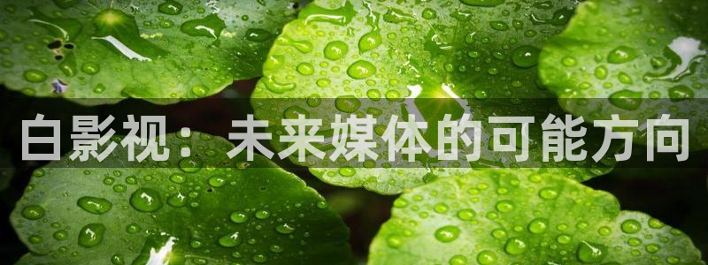 南瓜电影在线观看：白影视：未来媒体的可能方向