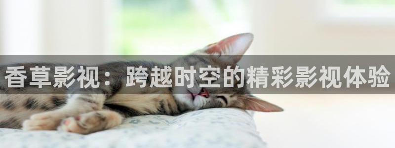 南瓜电影在线观看免费：香草影视：跨越时空的精彩影视体验