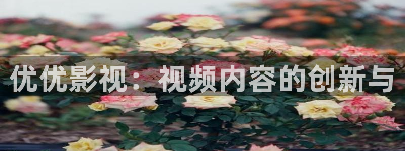 南瓜的价格：优优影视：视频内容的创新与