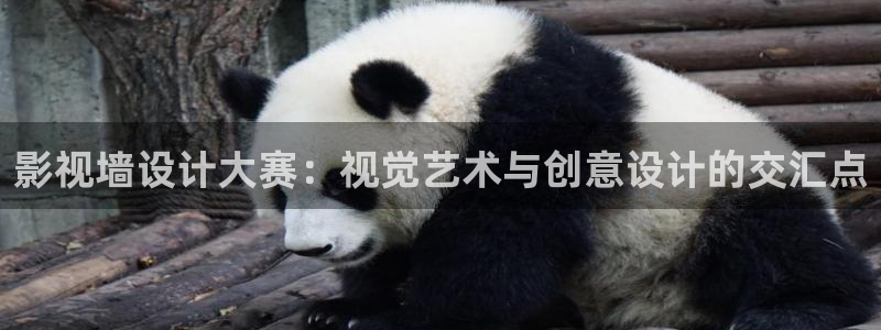 南瓜四川：影视墙设计大赛：视觉艺术与创意设计的交汇点